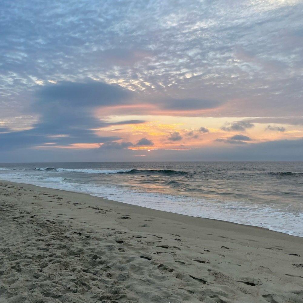 Meet your Posher, Kira!